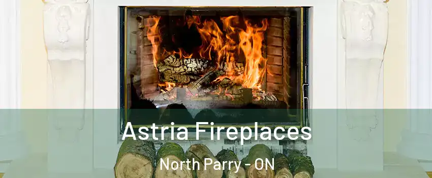  Astria Fireplaces North Parry - ON