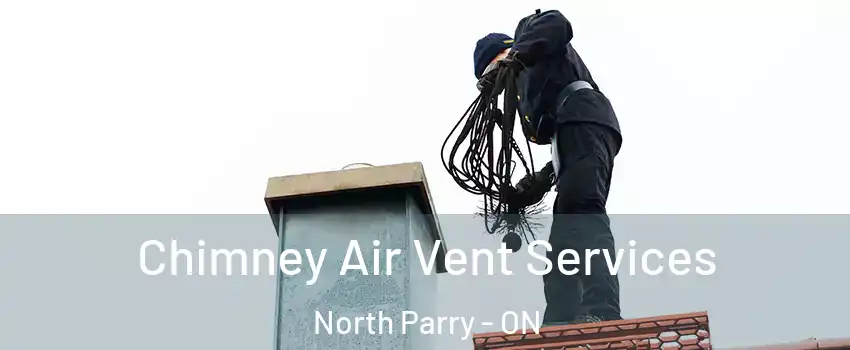 Chimney Air Vent Services North Parry - ON