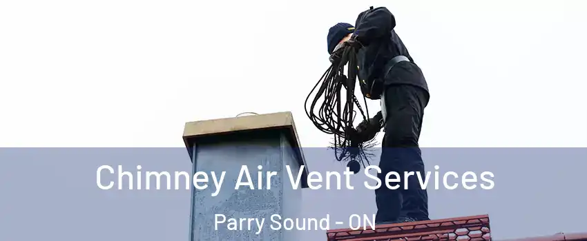  Chimney Air Vent Services Parry Sound - ON