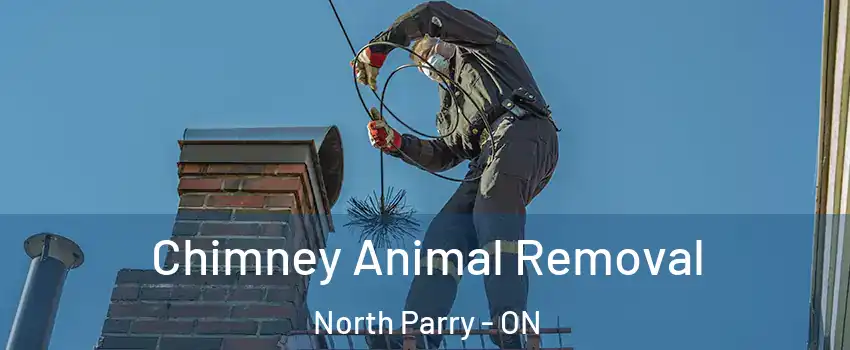 Chimney Animal Removal North Parry - ON
