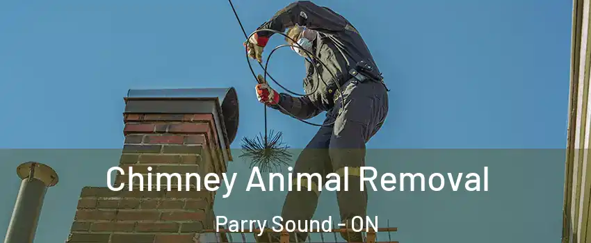  Chimney Animal Removal Parry Sound - ON