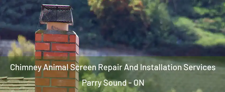  Chimney Animal Screen Repair And Installation Services Parry Sound - ON