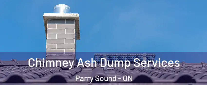  Chimney Ash Dump Services Parry Sound - ON