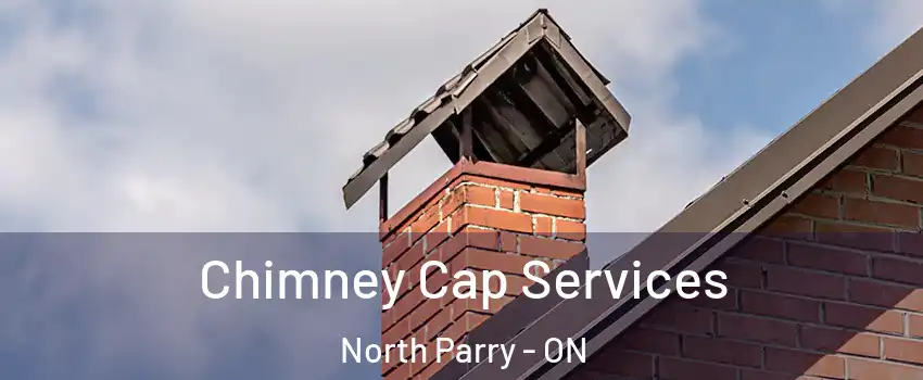 Chimney Cap Services North Parry - ON