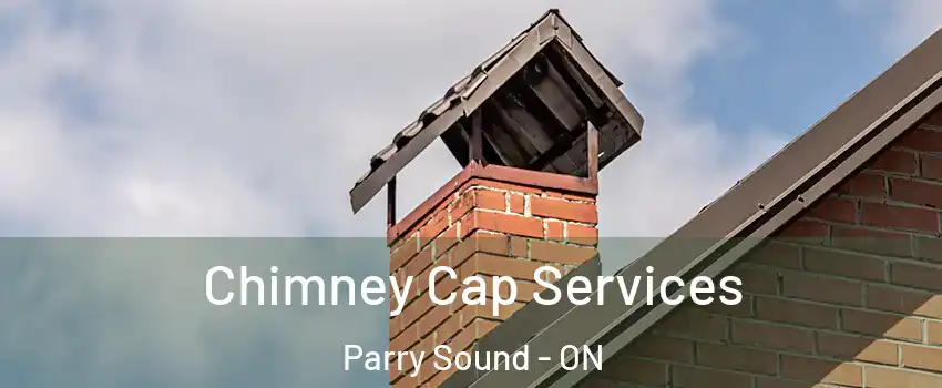 Chimney Cap Services Parry Sound - ON