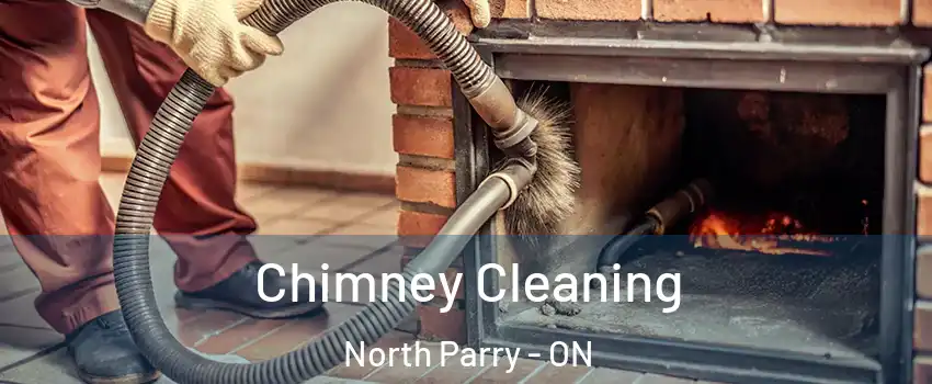  Chimney Cleaning North Parry - ON
