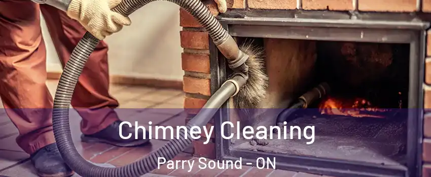  Chimney Cleaning Parry Sound - ON
