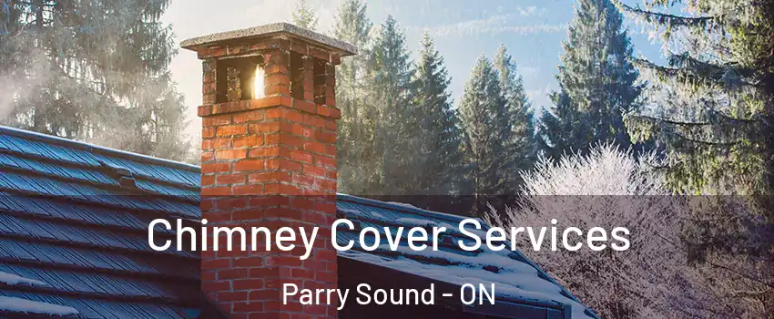  Chimney Cover Services Parry Sound - ON