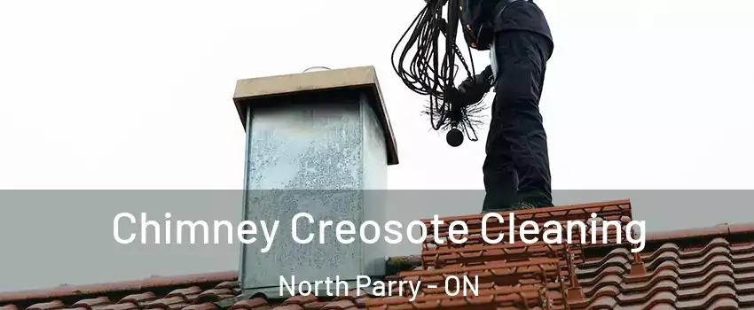  Chimney Creosote Cleaning North Parry - ON