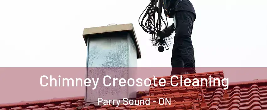  Chimney Creosote Cleaning Parry Sound - ON