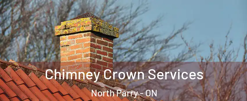 Chimney Crown Services North Parry - ON