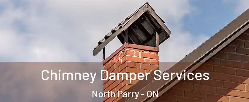  Chimney Damper Services North Parry - ON