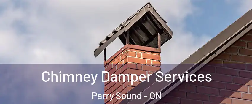 Chimney Damper Services Parry Sound - ON