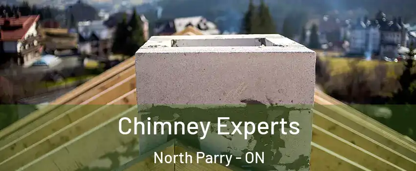  Chimney Experts North Parry - ON