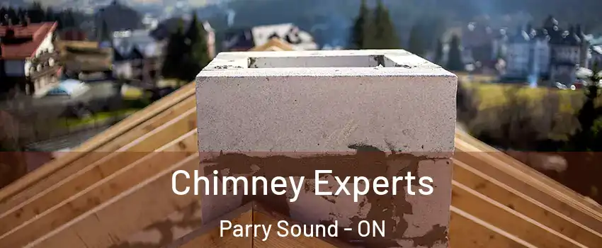 Chimney Experts Parry Sound - ON