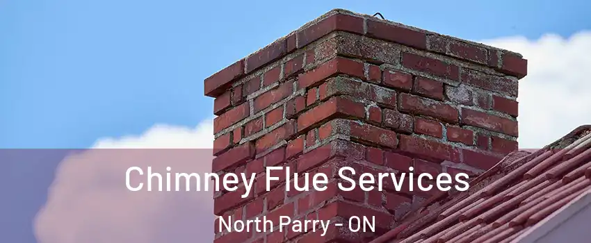  Chimney Flue Services North Parry - ON