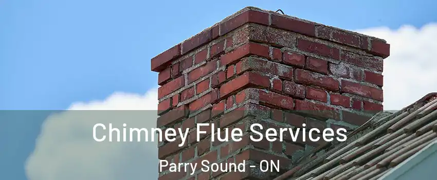 Chimney Flue Services Parry Sound - ON