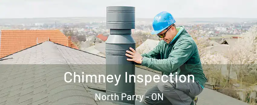  Chimney Inspection North Parry - ON