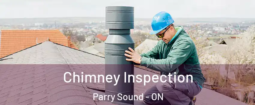  Chimney Inspection Parry Sound - ON