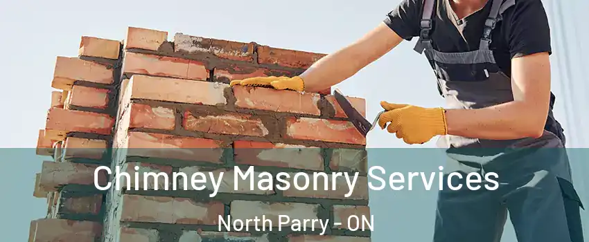 Chimney Masonry Services North Parry - ON