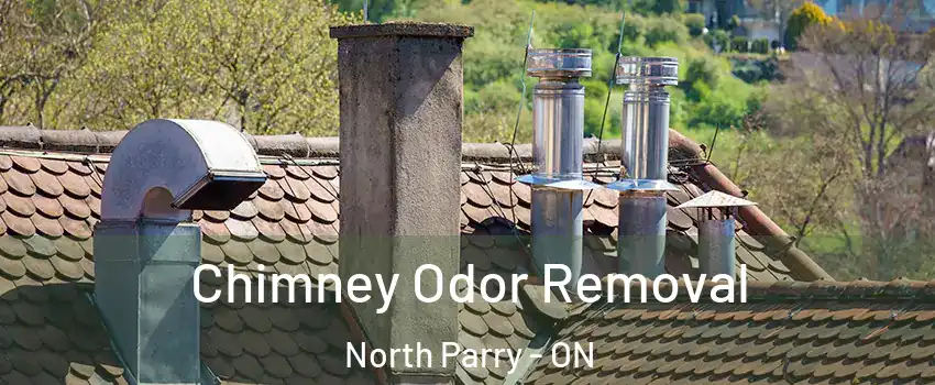 Chimney Odor Removal North Parry - ON