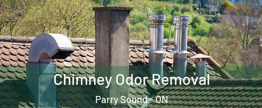  Chimney Odor Removal Parry Sound - ON