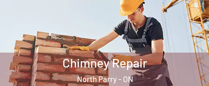 Chimney Repair North Parry - ON
