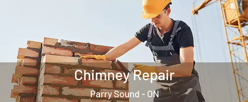  Chimney Repair Parry Sound - ON