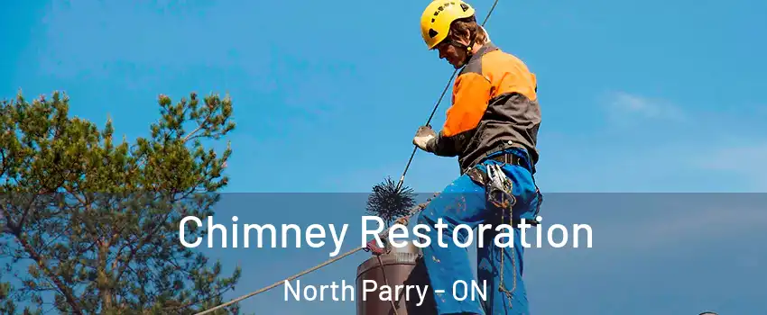  Chimney Restoration North Parry - ON