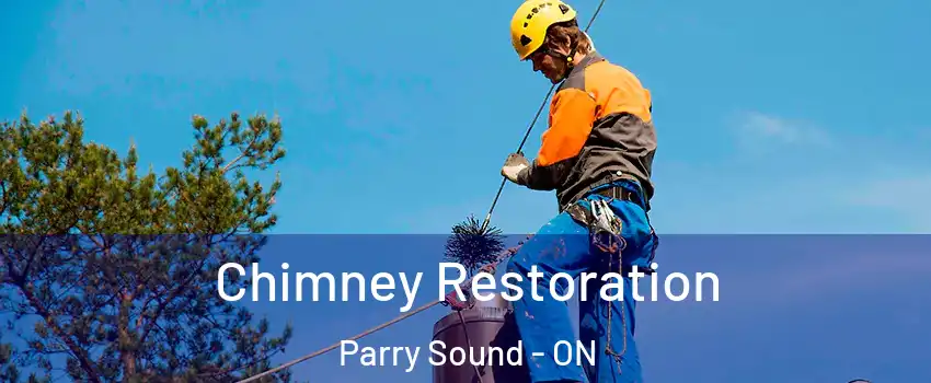  Chimney Restoration Parry Sound - ON