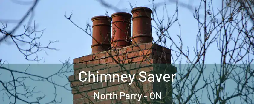  Chimney Saver North Parry - ON