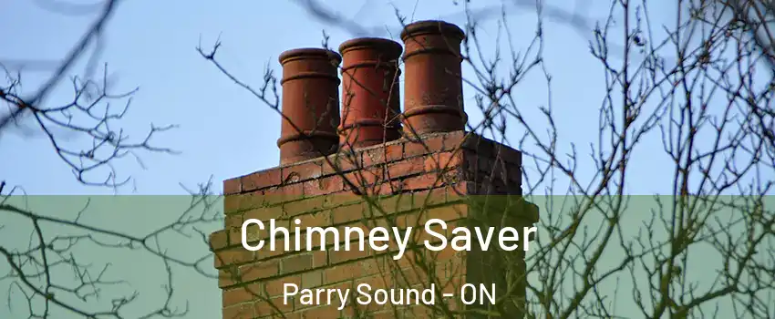 Chimney Saver Parry Sound - ON