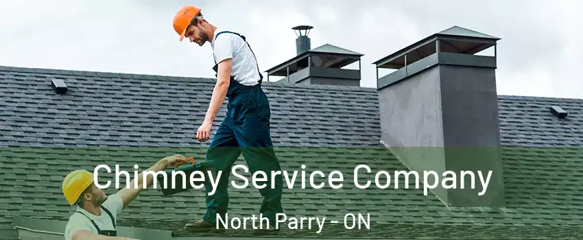 Chimney Service Company North Parry - ON