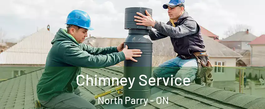  Chimney Service North Parry - ON