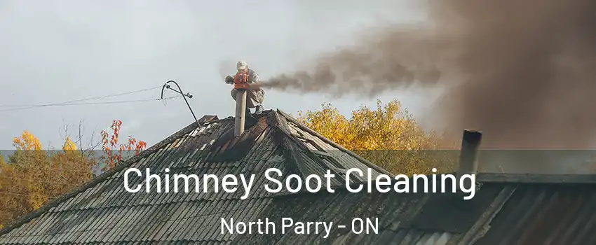  Chimney Soot Cleaning North Parry - ON