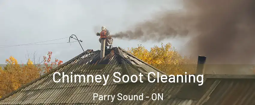  Chimney Soot Cleaning Parry Sound - ON