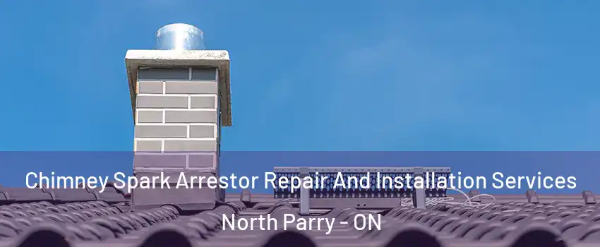 Chimney Spark Arrestor Repair And Installation Services North Parry - ON
