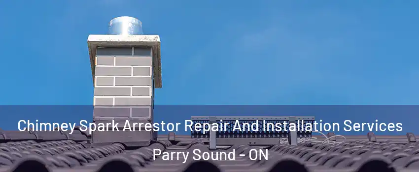  Chimney Spark Arrestor Repair And Installation Services Parry Sound - ON