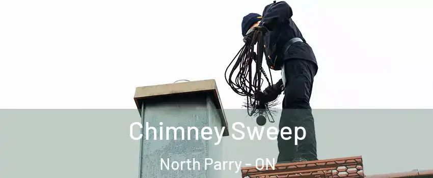  Chimney Sweep North Parry - ON