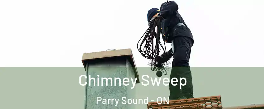  Chimney Sweep Parry Sound - ON