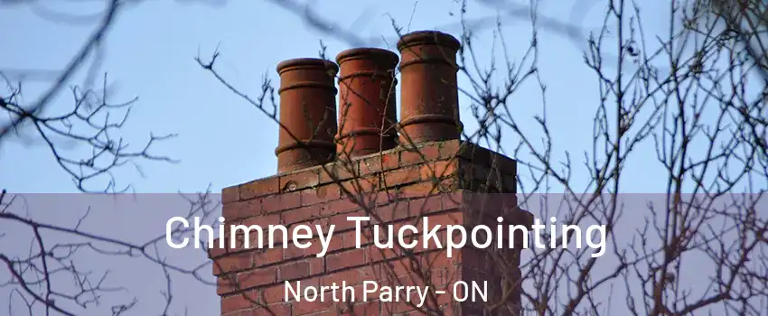 Chimney Tuckpointing North Parry - ON
