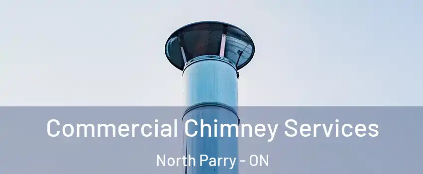 Commercial Chimney Services North Parry - ON