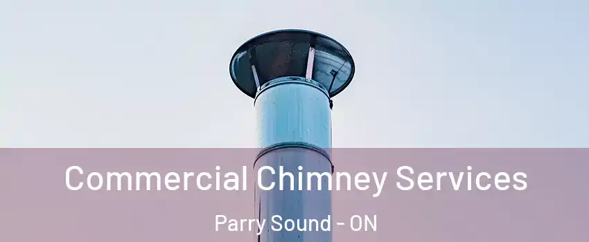  Commercial Chimney Services Parry Sound - ON