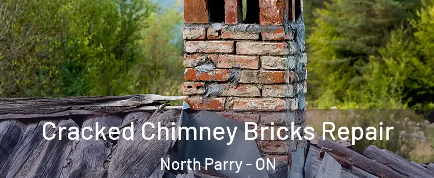 Cracked Chimney Bricks Repair North Parry - ON