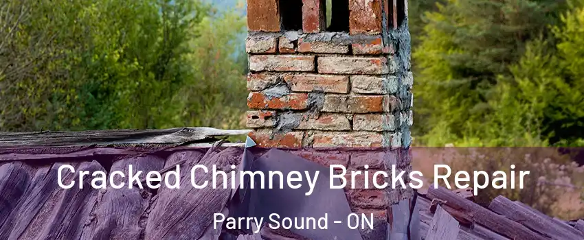  Cracked Chimney Bricks Repair Parry Sound - ON