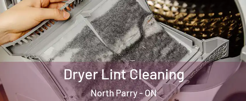 Dryer Lint Cleaning North Parry - ON