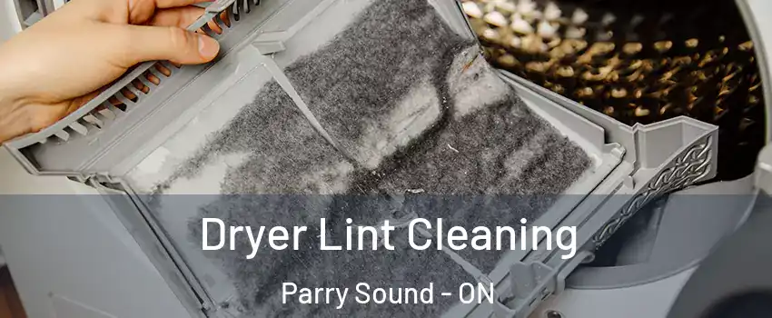 Dryer Lint Cleaning Parry Sound - ON