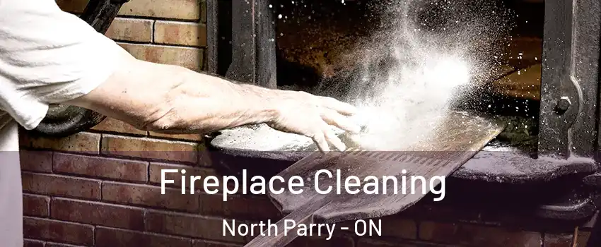 Fireplace Cleaning North Parry - ON
