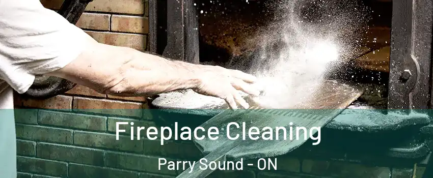  Fireplace Cleaning Parry Sound - ON