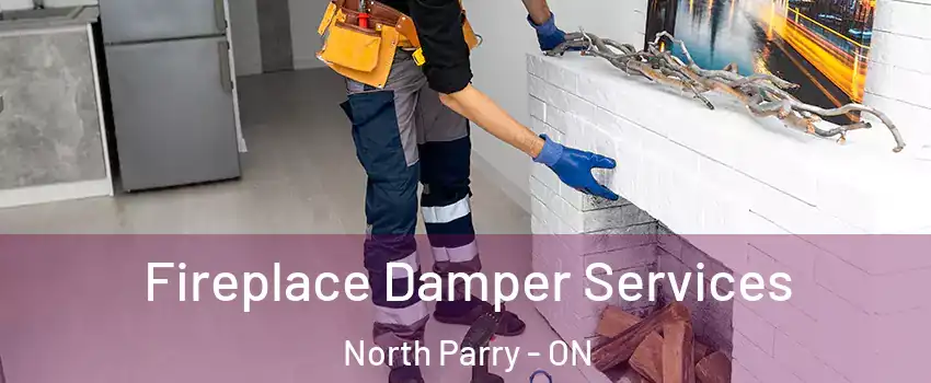 Fireplace Damper Services North Parry - ON